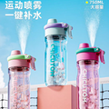 Summer Spray bottle